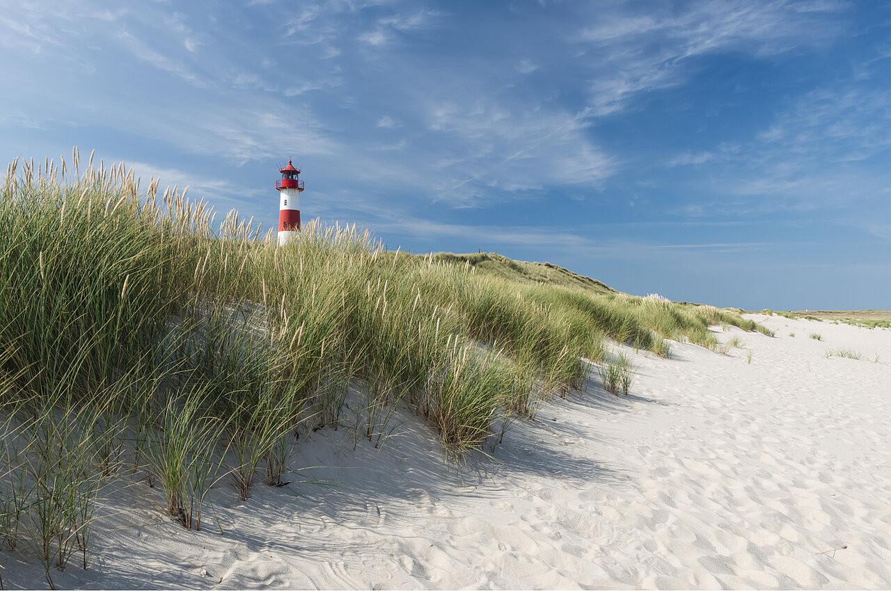 DSR_Asset_Standorte Roter und weißer Leuchtturm hinter Dünengras an einer Küste